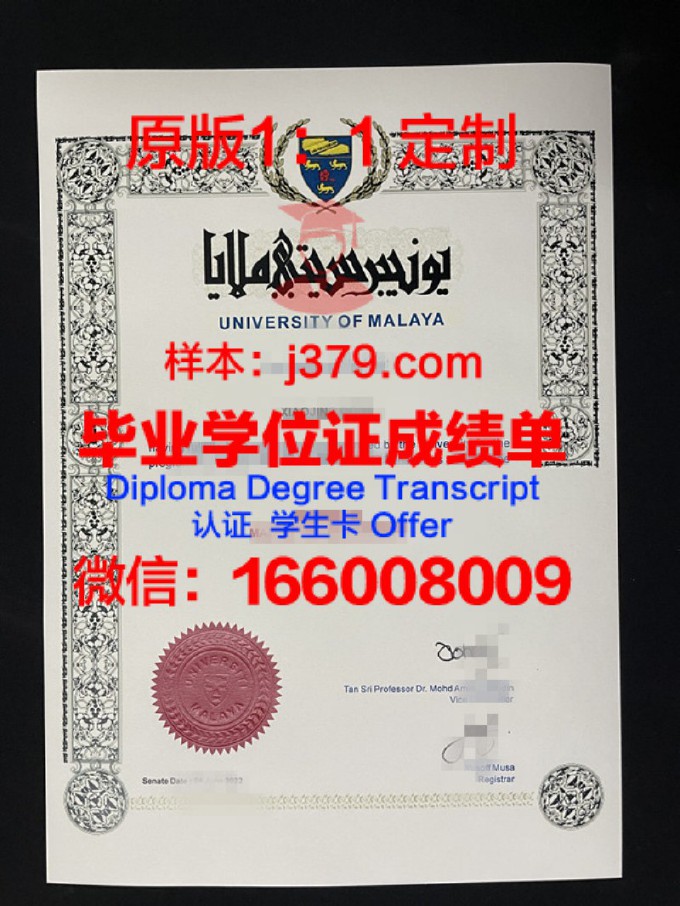 马来亚大学毕业证图片尺寸多大(马来西亚毕业照)