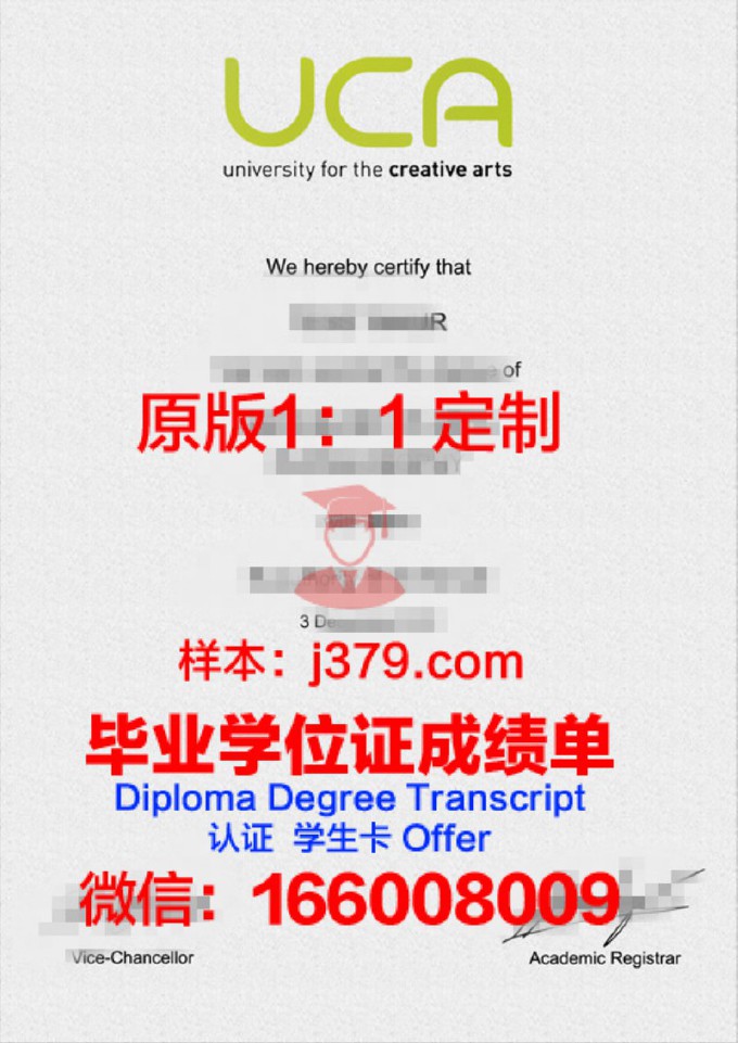 创意艺术大学毕业证Diploma文凭成绩单