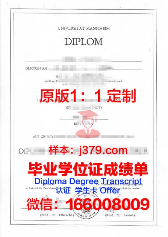 曼海姆大学毕业证Diploma文凭成绩单