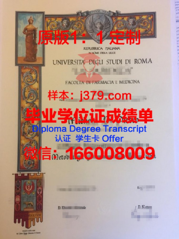 罗马第三大学diploma证书(罗马三大考试查询入口)