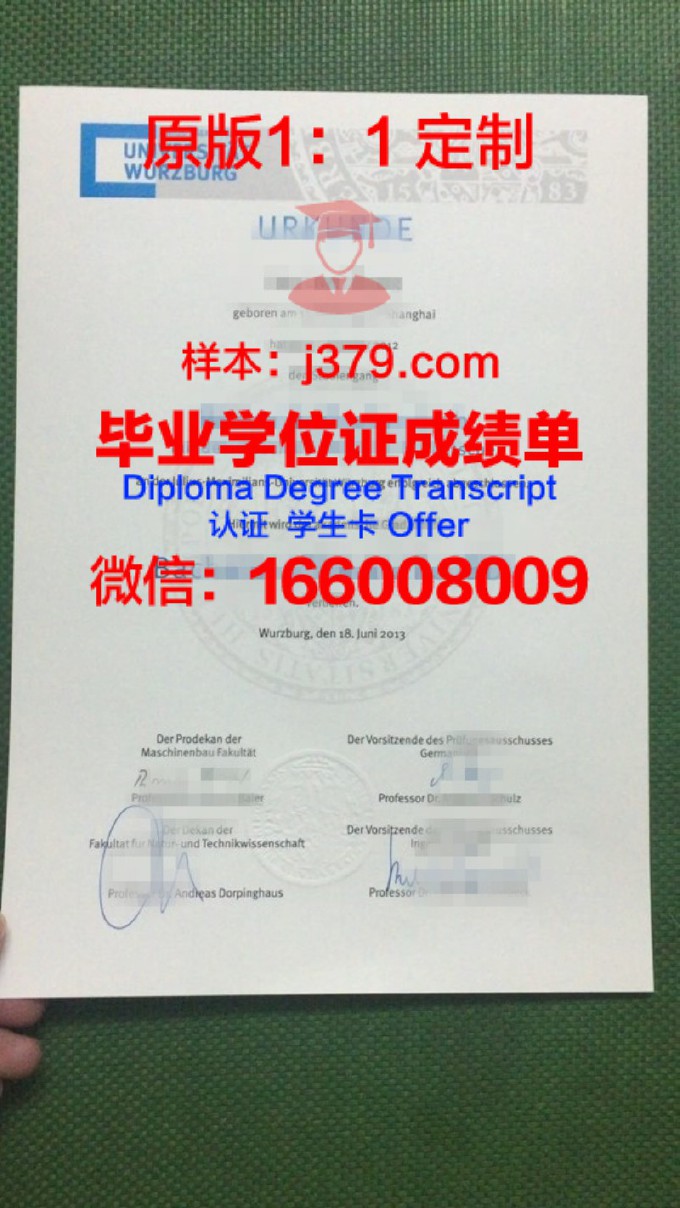 维尔茨堡大学毕业证Diploma文凭成绩单