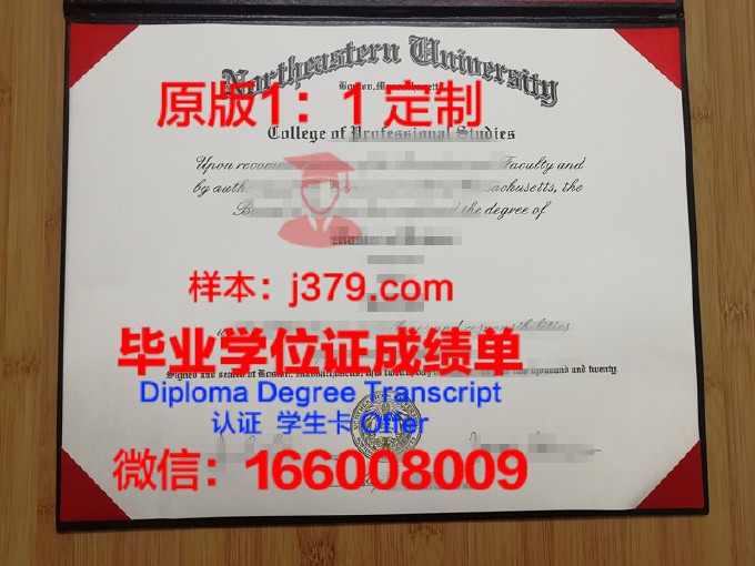 美国东北大学毕业证Diploma文凭成绩单