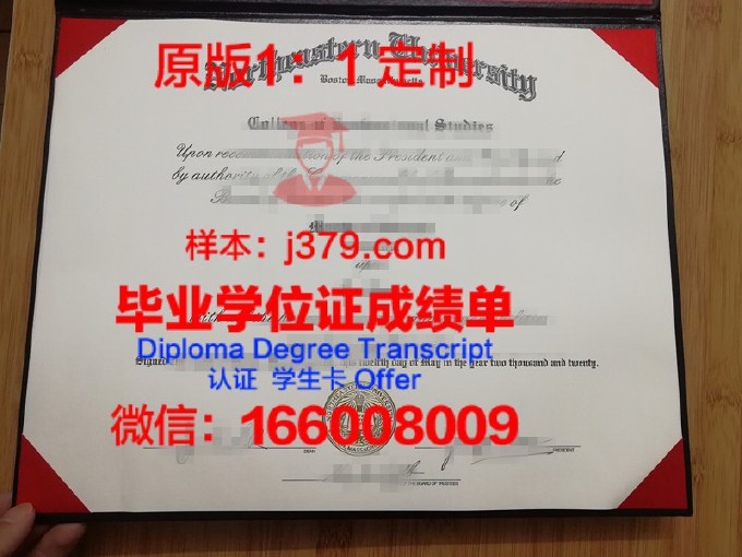 美国东北大学毕业证Diploma文凭成绩单