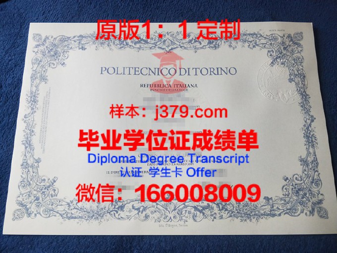 都灵理工大学毕业证Diploma文凭成绩单