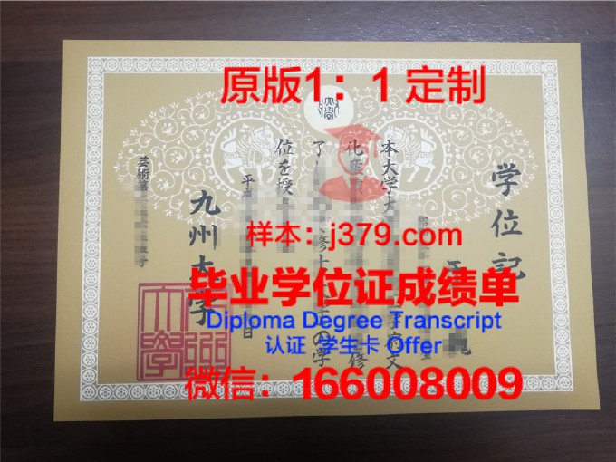 九州国际大学毕业证Diploma文凭成绩单