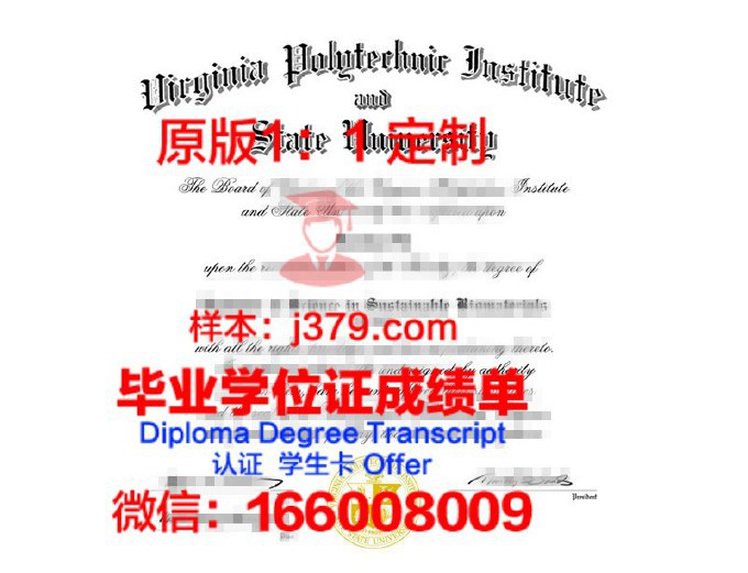 塔林大学毕业证书图片模板(塔林理工大学官网)