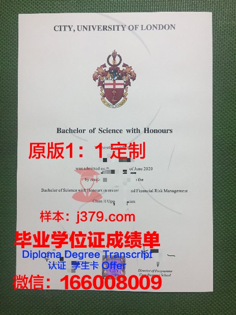 圣太田大学圣太田电信学院毕业证定制：承载荣誉与梦想的证书