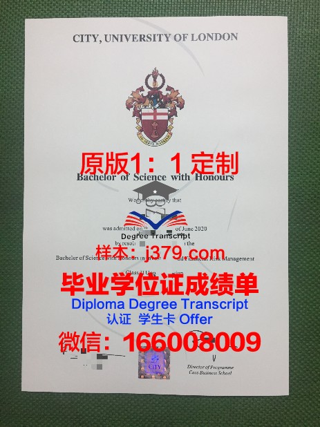 圣太田大学毕业证展示