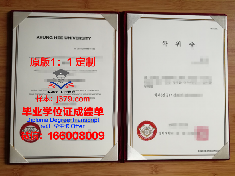 图尔大学diploma证书(图尔工程师学院)